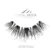 MODELROCK Signature Lashes - Goddess