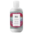 R+Co Television Perfect Hair Conditioner