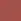 Spice -  Pink cinnamon stick
