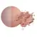 INIKA Organic Baked Blush Duo - Pink Tickle 6.5g