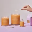 Glasshouse Fragrances A TAHAA AFFAIR 380g Soy Candle