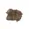 Soft Brown - for light brown hair with warm/cool undertones