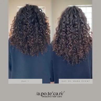 Apotecari Mane Event 30 Day Bottle | Intensive Hair Growth, Condition & Thickness