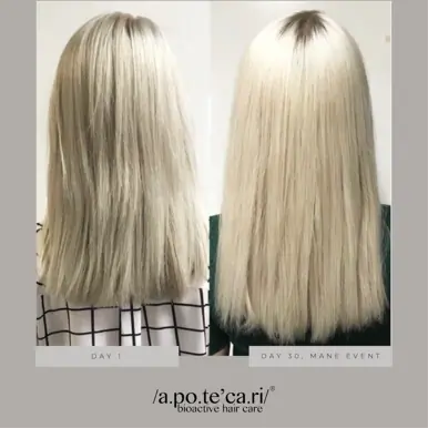 Apotecari Mane Event 90 Day Kit | Intensive Hair Growth, Condition & Thickness