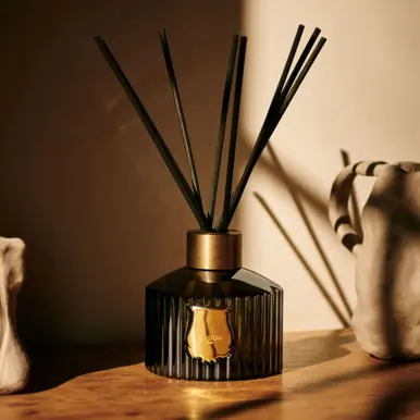 Trudon Odalisque Reed Diffuser 350ml