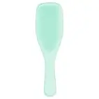 Tangle Teezer Fine and Fragile Wet Detangler Mint