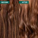 Coco & Eve Like A Virgin Hydrating & Detangling Leave-In Conditioner