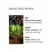 Molton Brown Black Pepper Body Wash 300ml