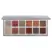 Anastasia Beverly Hills Rose Metals Palette