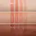 Anastasia Beverly Hills Tinted Lip Gloss