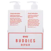 evo Love Is In The Hair Buddies Duo 500ml