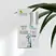 Société Even Out Dark Spot Corrector