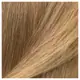 IGK PERMANENT COLOR KIT Pampas Blonde- Light Natural Blonde