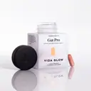 Vida Glow Gut Pro 30 Capsules