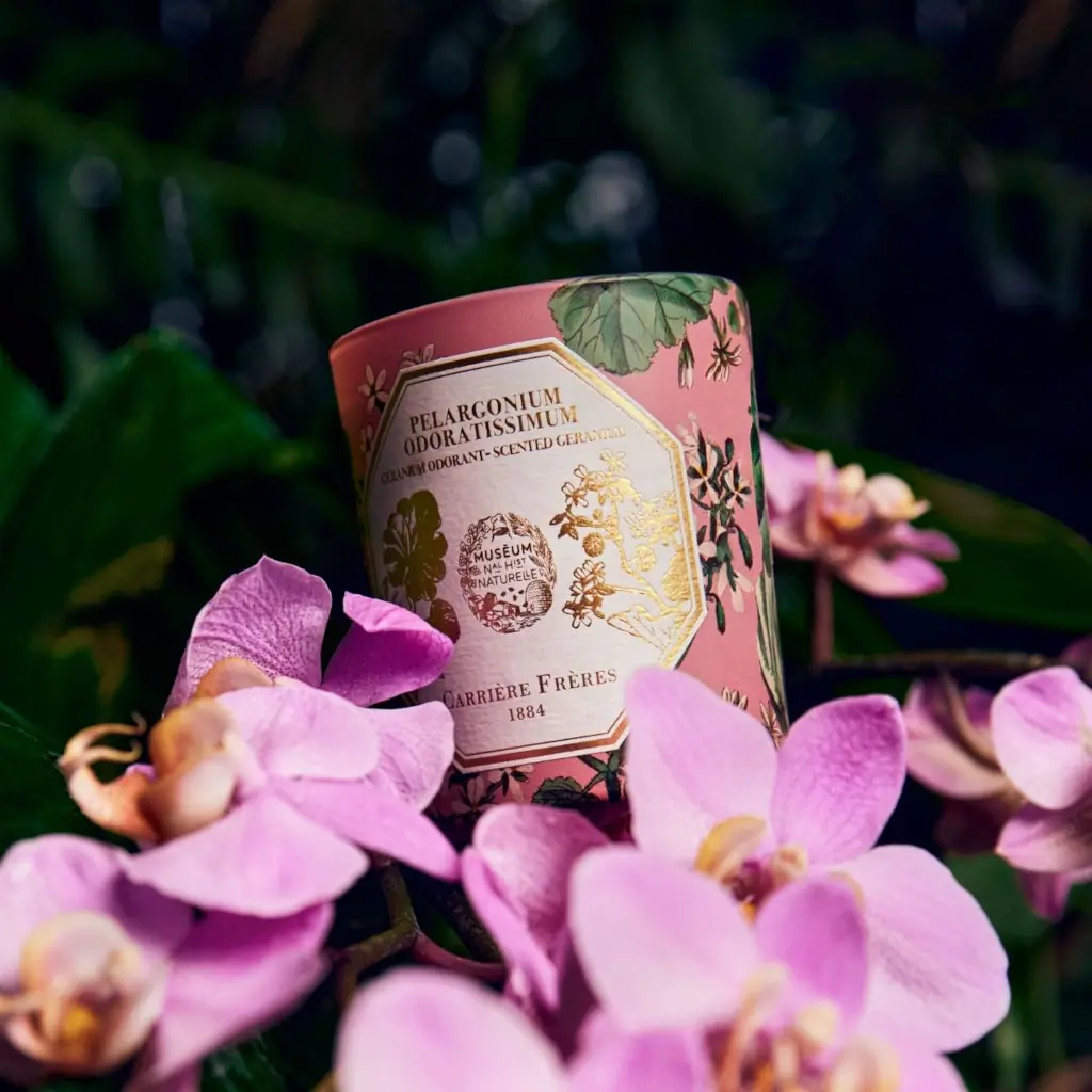 Carrière Frères Museum Geranium candle