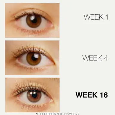 LASHFOOD Lash & Brow Enhancer Duo