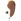 Nutmeg 365