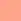 646 Pearly Coral