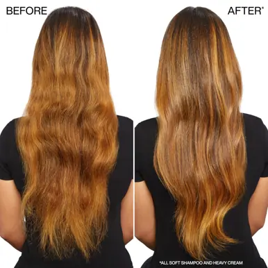 Redken All Soft Shampoo for Dry Hair