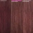 Redken Color Extend Magnetics Sulfate-Free Shampoo