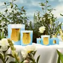 Trudon Versailles Petit 70g candle
