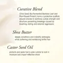 Oribe Hair Care Hair Alchemy Masque