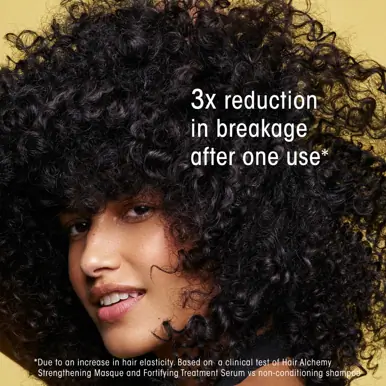 Oribe Hair Care Hair Alchemy Masque