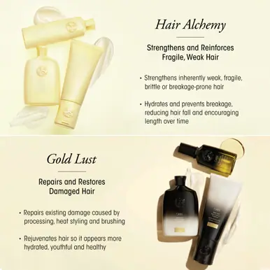 Oribe Hair Care Hair Alchemy Resilience Conditioner