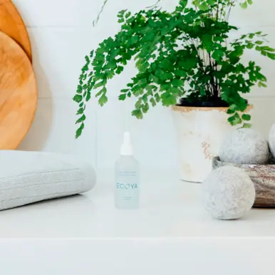 ECOYA Wild Sage & Citrus Dryer Ball Set 