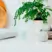 ECOYA Wild Sage & Citrus Dryer Ball Set 