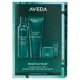 AVEDA Botanical Repair Rich Value Kit