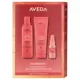 AVEDA Nutriplenish Deep Value Kit