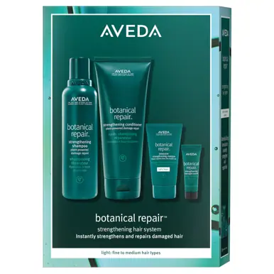 AVEDA Botanical Repair Light Value Kit