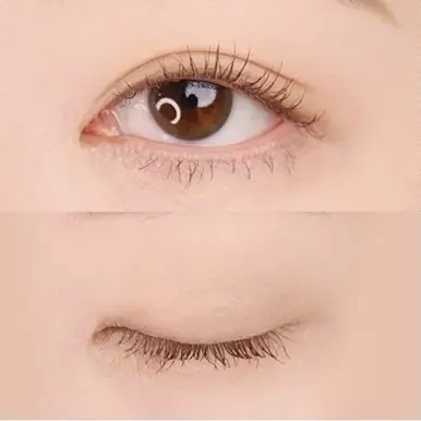 Espoir Nomudging Mascara Wp Xp #4 Deep Brown