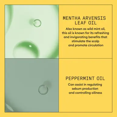 Nioxin System 1 Scalp + Hair Conditioner - Hair Thickening Conditioner for Natural Hair with Light T