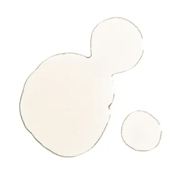NIOD RE: Pigment 15ml