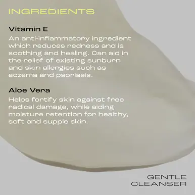 Skinstitut Gentle Cleanser