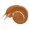 Benefit Boi-ing Cakeless Concealer - 13 Think Big Concealer (A11)