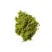 Par Olive PEARL Marine Collagen Jar  (Japanese Matcha) 150g