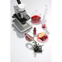 SKIN1004 ZOMBIE BEAUTY Bloody Peel