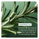 Biolage Full Rescue Densifying Leave-In Spray 250ml