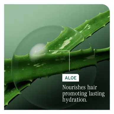 Biolage Hydra Source Daily Leave-In Tonic 400ml