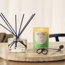 ECOYA Metro Candle French Pear 280g