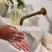 CIRCA 450ml Hand Wash - Alchemy - White Tea & Wild Mint