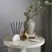 CIRCA 5 Replacement Scent Stems - Oceanique