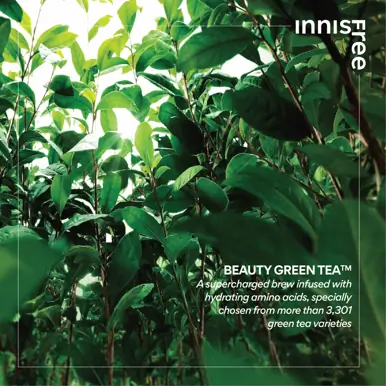 INNISFREE Green Tea Amino Hydrating Cleansing Water 320ml