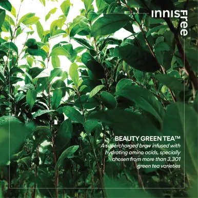 INNISFREE Green Tea Hyaluronic Skin 170ml
