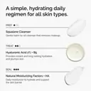 The Ordinary The Daily Set