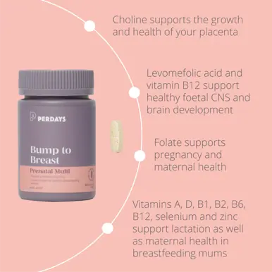 Perdays Bump To Breast Prenatal Multi