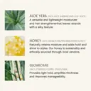 Innersense Organic Beauty I Create Lift Volumizing Foam